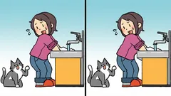 Pussel: Hitta 3 skillnader i bilden av en kvinna med en katt på 19 sekunder