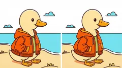 Hjärngympa: Hitta 3 skillnader i bilden med en anka i jacka på 36 sekunder